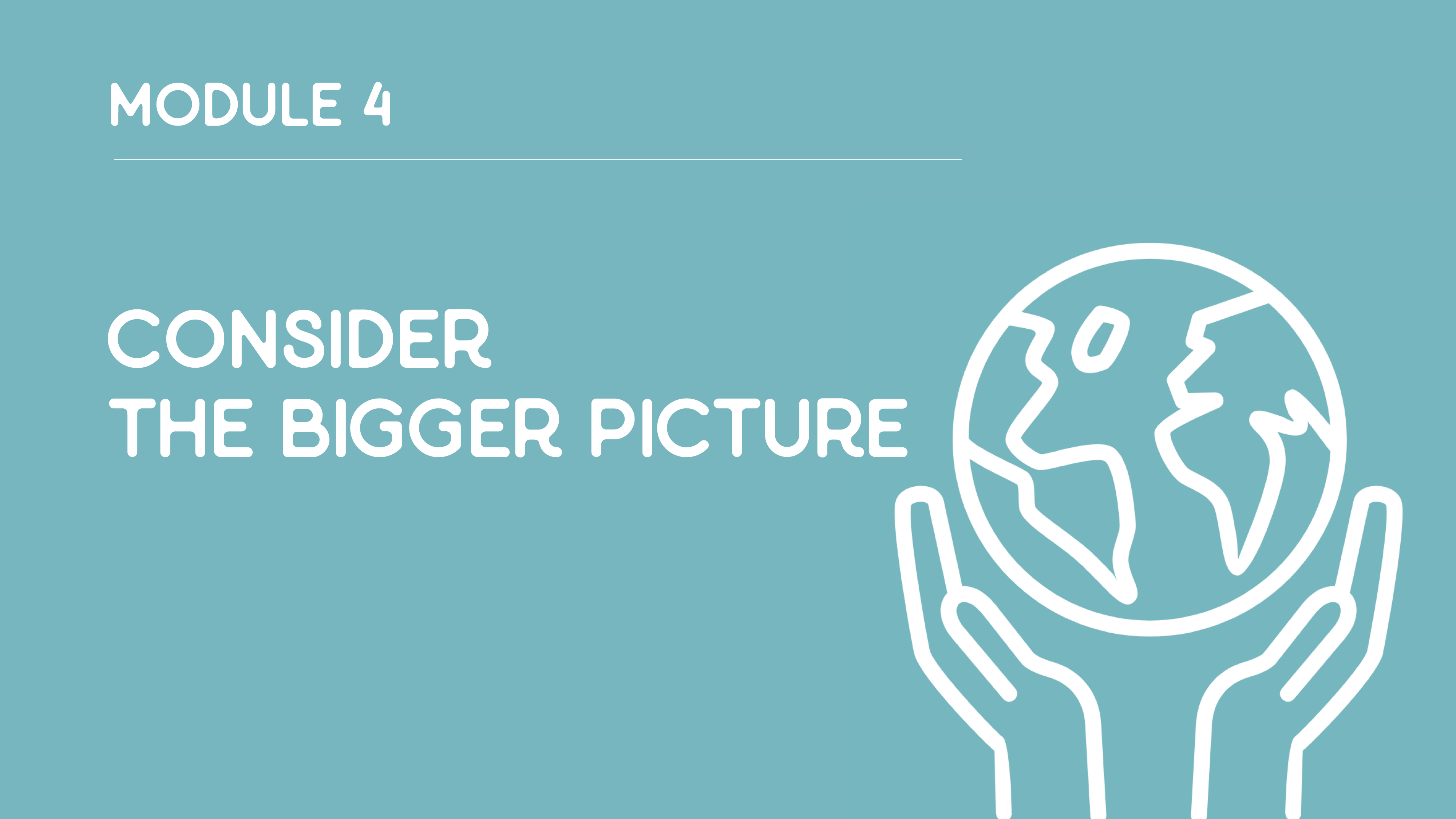 Module 4: Consider the Bigger Picture Image